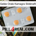 Gelée Orale Kamagra Sildénafil 24